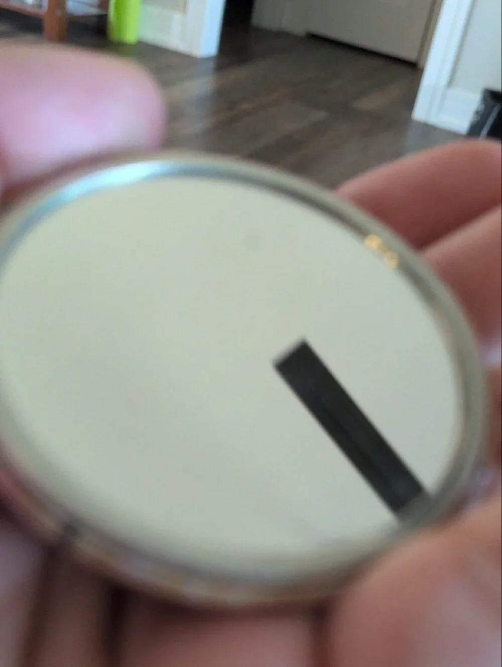 Compact Mirror With Red Bird Pattern